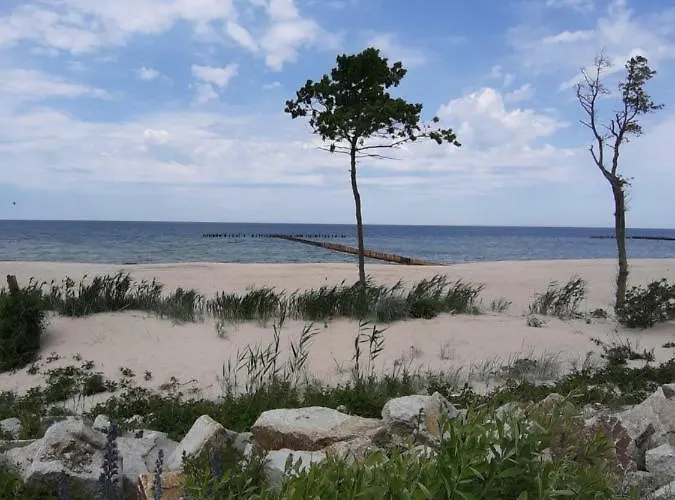 Проживание в семье Dom Na Fali